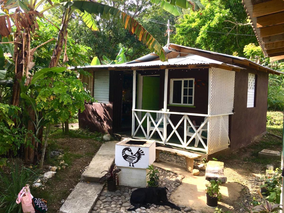 Easymans' Winifred Beach Chalets Port Antonio Dış mekan fotoğraf